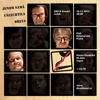 Dvojdivadelní jednokoncert: I SAD si udělal svůj plakát na vystoupení s Filtrem v Rybě naruby