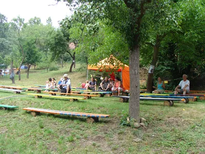koncert 2